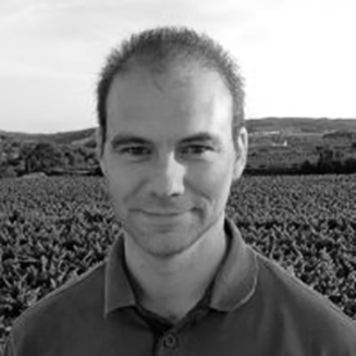 Daniel Montesinos