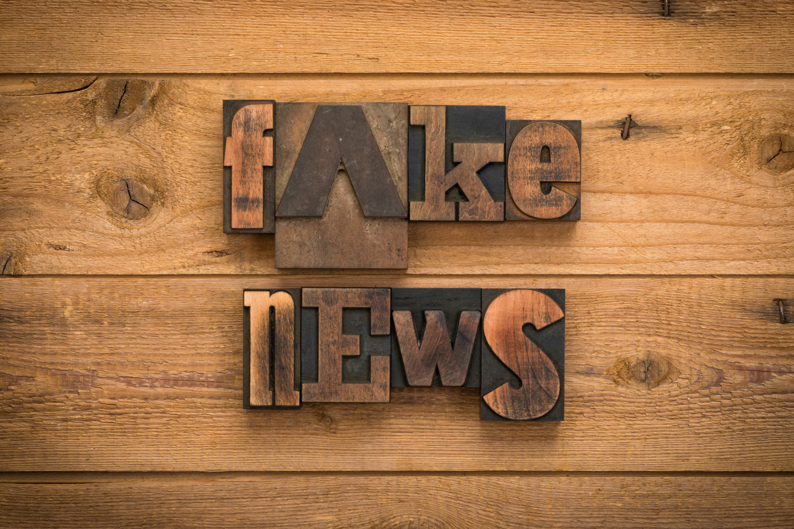 This is how fake news impact your democracy