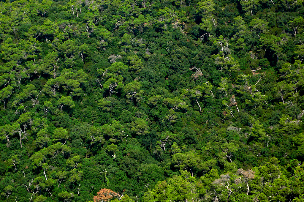 From the Amazon to Barcelona: community, technology, and resilience in a year shaped by fire 